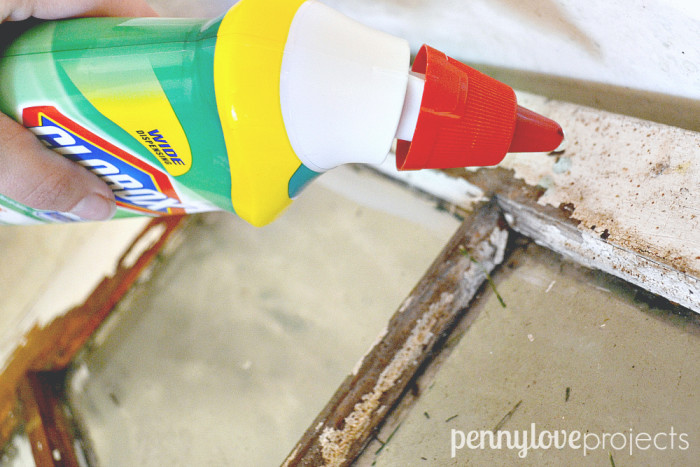 clean the window with bleach cleaner