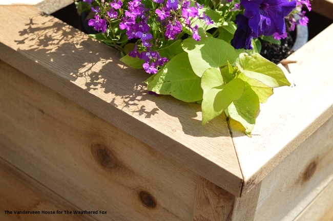 Cedar-outdoor-planter-building-plans