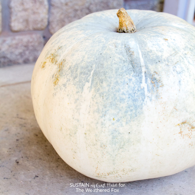 Neutral blue and white pumpkin and printable watercolor pumpkin art