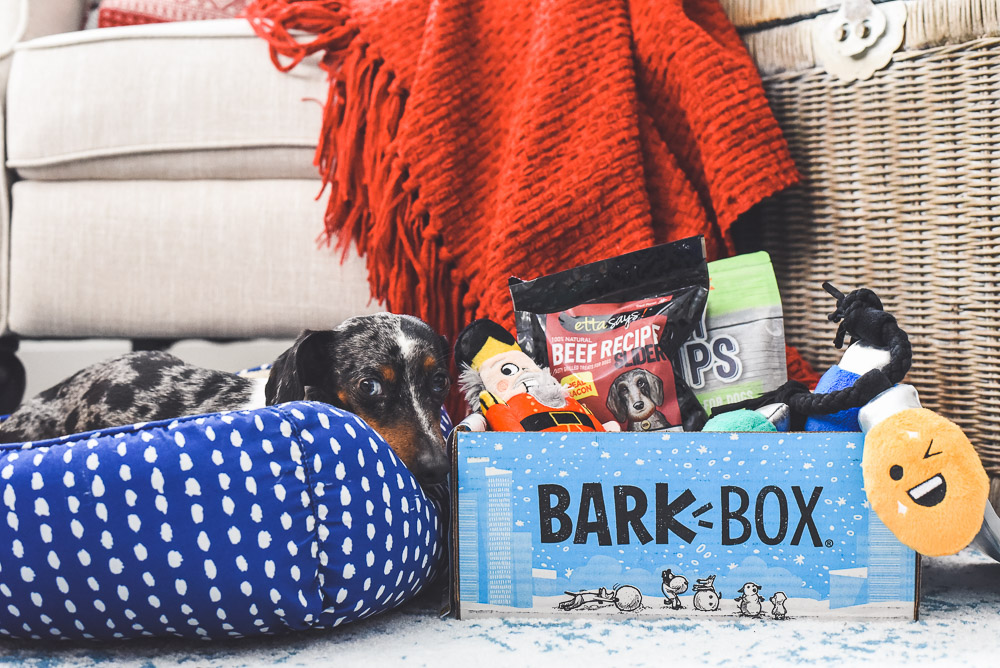 Barkbox Gift for Dogs Review 26 The Weathered Fox Barkbox Gift for Dogs Review 26 The Weathered Fox