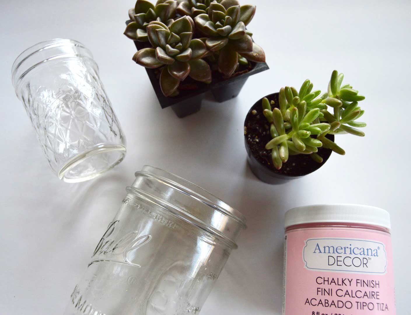 Chalkpaint Mason Jar Succulents with free printable gift tags