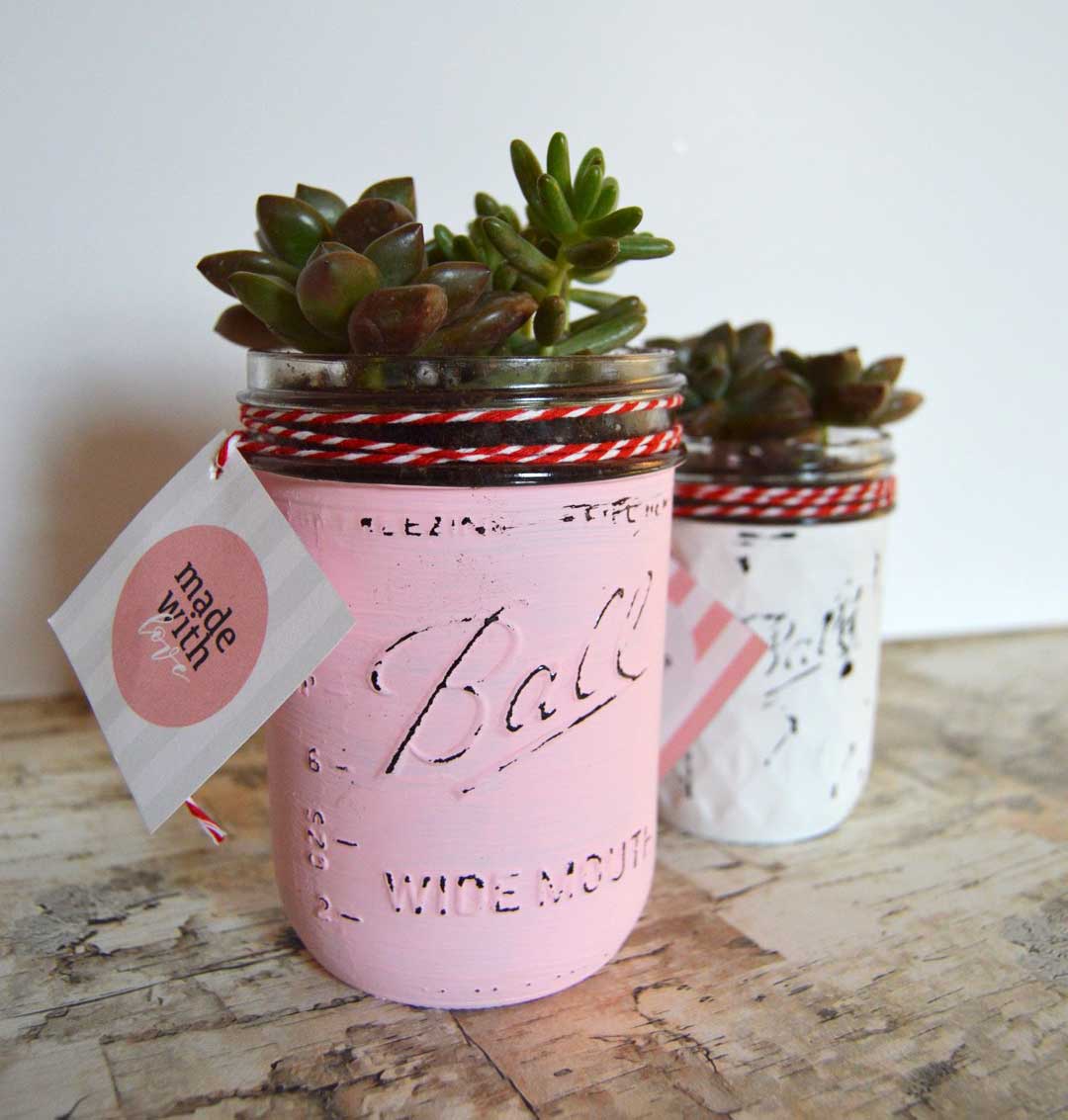 Chalkpaint Mason Jar Succulents with free printable gift tags