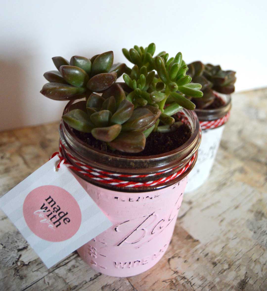 Chalkpaint Mason Jar Succulents with free printable gift tags