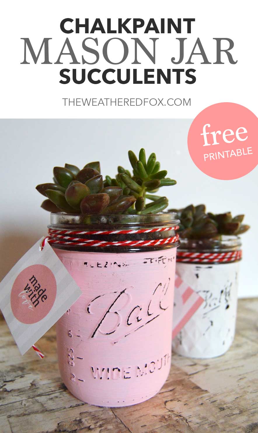 Chalkpaint Mason Jar Succulents with free printable gift tags