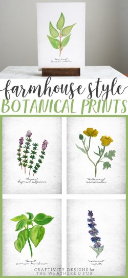 Farmhouse Style Botanical Prints Every Kitchen Needs This Spring - The ...