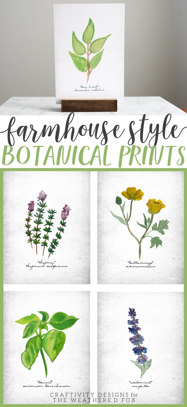 Farmhouse Style Botanical Prints, Printables, Shopping Guide