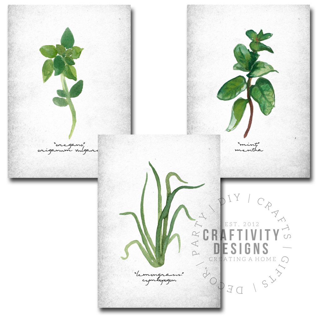 Farmhouse Style Botanical Prints, Printables, Shopping Guide