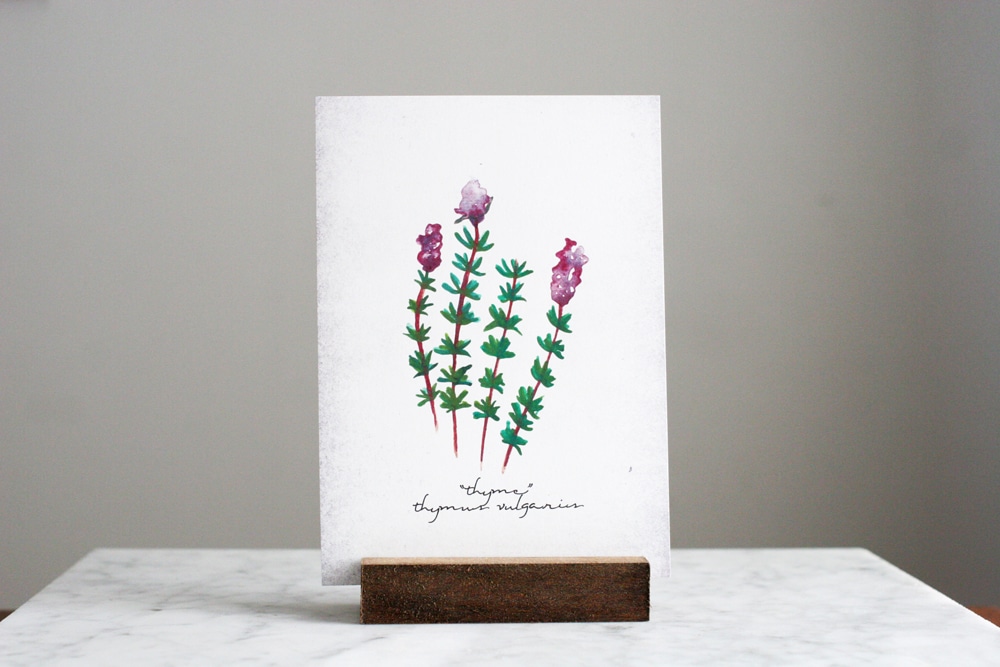 Farmhouse Style Botanical Prints, Printables, Shopping Guide